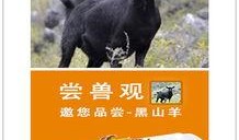 电影野味十足在线观看,一场惊心动魄的生存冒险之旅